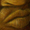 The Blues Series Sample 27