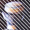 The Misc Series Sample 10